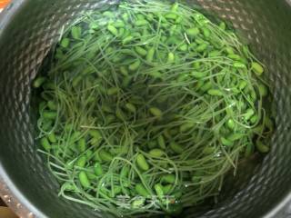 拌黑豆芽#凉拌菜#的做法步骤：5