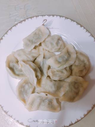 茴香猪肉水饺的做法步骤：14