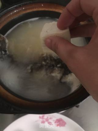 鲫鱼豆腐汤的做法步骤：7