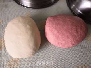 饺子好吃????双色茴香鸡肉馅的做法步骤：3