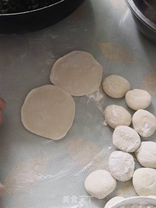 饺子好吃????双色茴香鸡肉馅的做法步骤：9