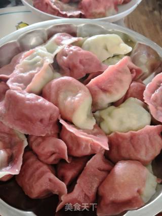 饺子好吃????双色茴香鸡肉馅的做法步骤：12