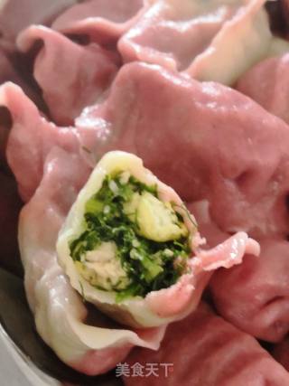 饺子好吃????双色茴香鸡肉馅的做法步骤：13