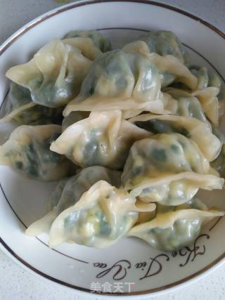 虾仁韭菜鸡蛋饺的做法步骤：8