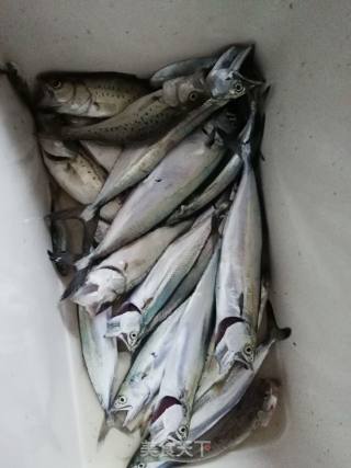 小满日食记～鱼之鲜《家常炖小燕鱼》的做法步骤：3