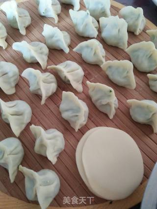 虾仁茭瓜鸡蛋饺的做法步骤：4