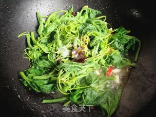 快手小炒菜:蒜蓉南瓜藤的做法步骤：5