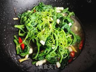 快手小炒菜:蒜蓉南瓜藤的做法步骤：6