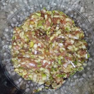 黄瓜猪肉水饺的做法步骤：12