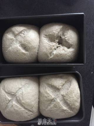 全麦黑芝麻吐司（不用揉出手膜的咸味吐司）的做法步骤：3