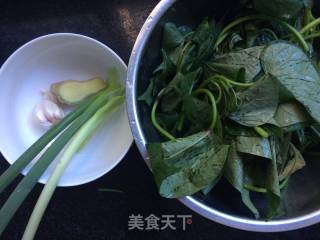 清炒红薯叶的做法步骤：1