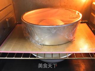 海苔芝麻肉松全麦包的做法步骤：12