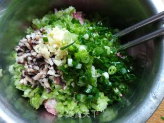 芹菜饺子的做法步骤：4