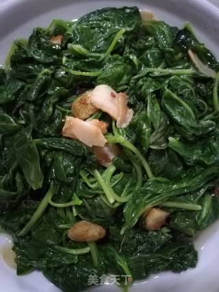 蒜香白苋菜的做法步骤：6