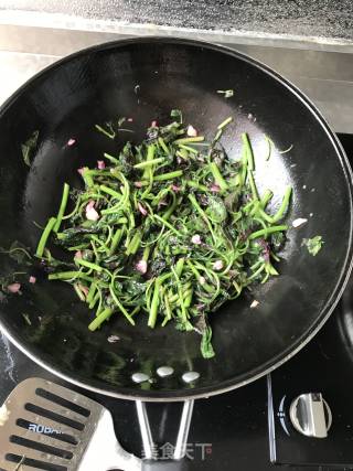 清炒苋菜的做法步骤：4