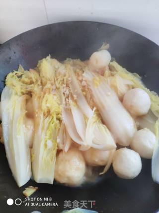 清炖娃娃菜的做法步骤：6