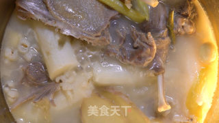 石斛老鸭汤的做法步骤：4