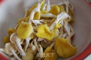 黄金菇炒肘子肉的做法步骤：2