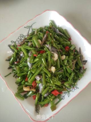 辣椒炒空心菜梗的做法步骤：7