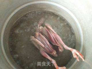 蒸山药枸杞鸽子汤的做法步骤：3