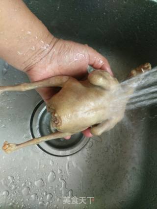 蒸山药枸杞鸽子汤的做法步骤：4