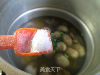 芋艿鸭肉汤的做法步骤：8