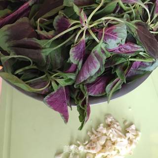 蒜香红苋菜的做法步骤：1