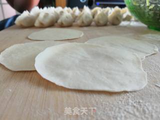 茄瓜粉条猪肉饺的做法步骤：7