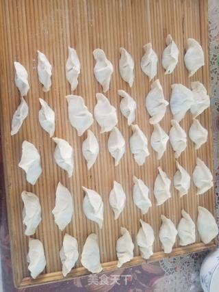 猪肉韭菜饺子的做法步骤：6