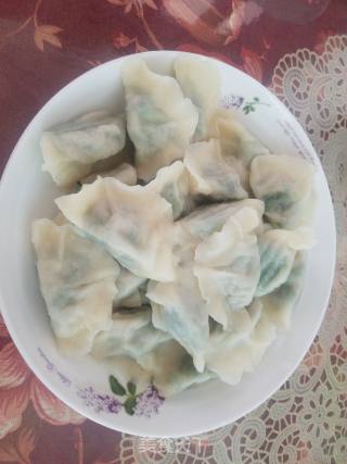 猪肉韭菜饺子的做法步骤：8