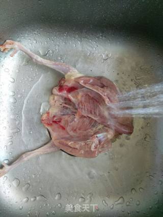 蒸太子参红枣鸽子汤的做法步骤：1