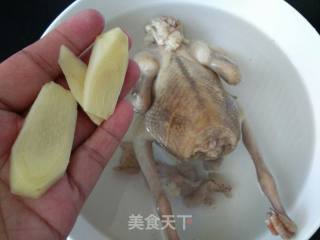 蒸太子参红枣鸽子汤的做法步骤：4