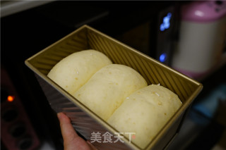 燕麦土司的做法步骤：11