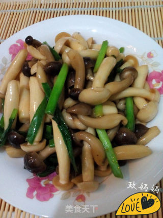 清炒海鲜菇的做法步骤：8