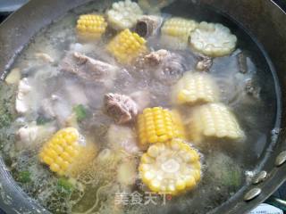 玉米炖排骨的做法步骤：10