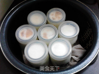 大果粒黄桃酸奶的做法步骤：13