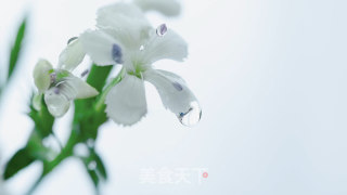 鲜花冰碗【初味日记】的做法步骤：3