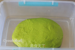 抹茶麻薯肉松包的做法步骤：5