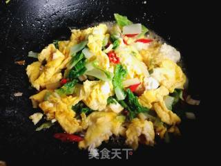 家常菜:小白菜炒鸡蛋的做法步骤：10
