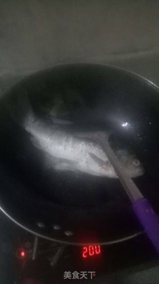 煎焖鲫鱼的做法步骤：7