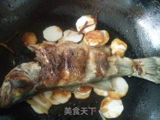 芋头烧鲈鱼的做法步骤：11
