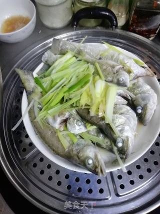 小满日食记之清蒸鲜海鲈鱼的做法步骤：7