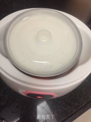 酸奶的做法步骤：7