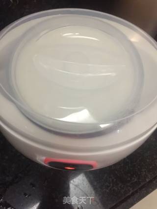 酸奶的做法步骤：8