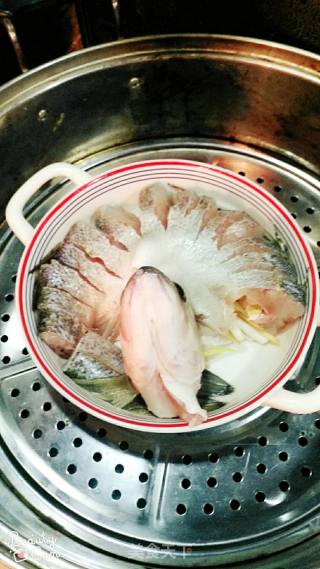 清蒸鲈鱼的做法步骤：4