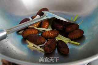葱姜炒蚕蛹的做法步骤：4