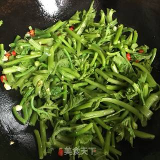 蒜香南瓜藤的做法步骤：4