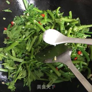 蒜香南瓜藤的做法步骤：5