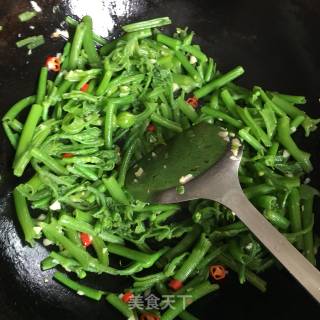 蒜香南瓜藤的做法步骤：6