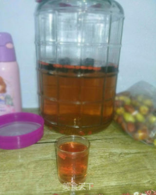 灵芝泡酒的做法步骤：4